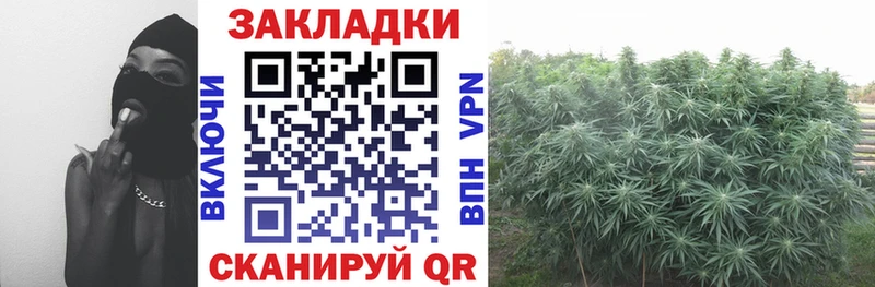 Купить закладку Гашиш  СОЛЬ  Мефедрон  Конопля  COCAIN  Пучеж