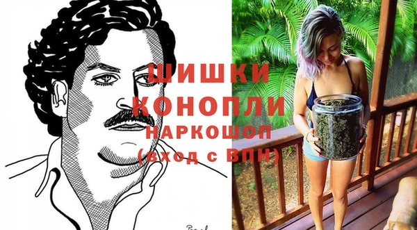 прущие грибы Верхнеуральск