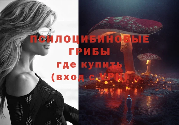 прущие крисы Туринск