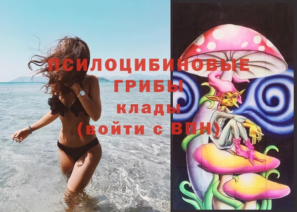 прущие грибы Верхнеуральск